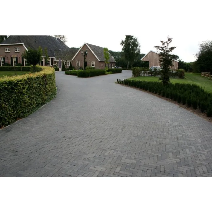 Pavé béton Wallon noir 20x5x6cm