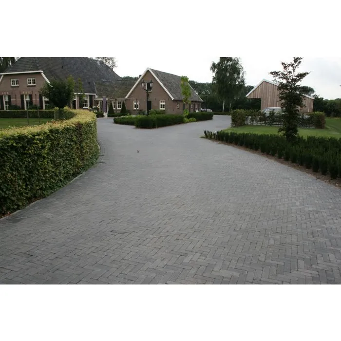 Pavé béton Wallon noir 20x5x6cm