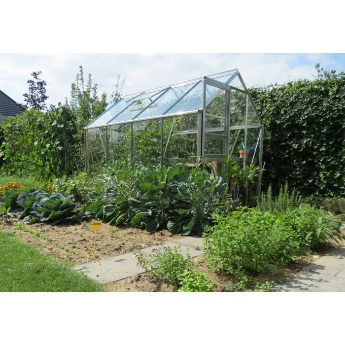 Serre pour jardin 193x257x195cm