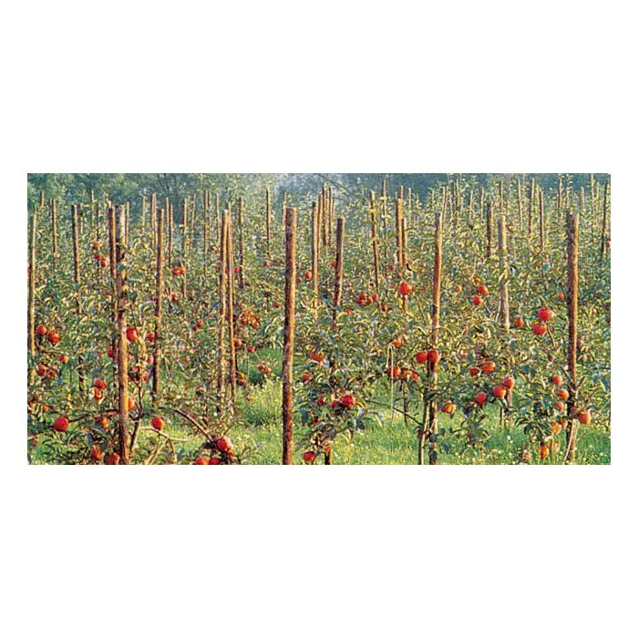 Poteau bois rond fraise cylindrique ø6x30cm (pointu)