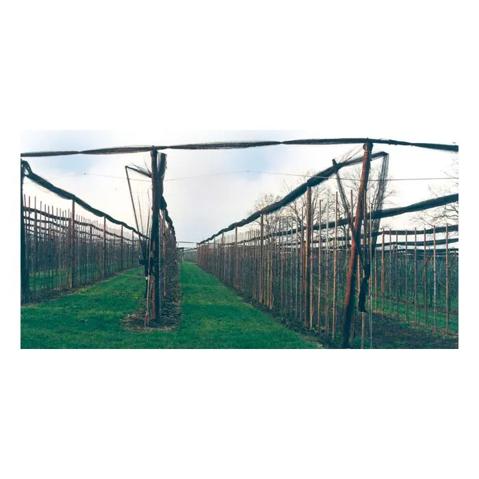 Poteau bois rond fraise cylindrique ø6x30cm (pointu)